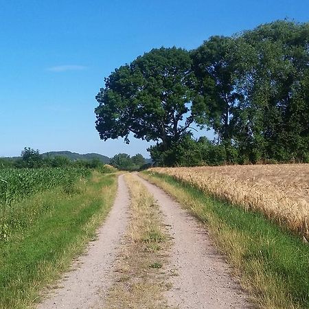 Landgasthof Zur Untermuehle Datterode Eksteriør bilde