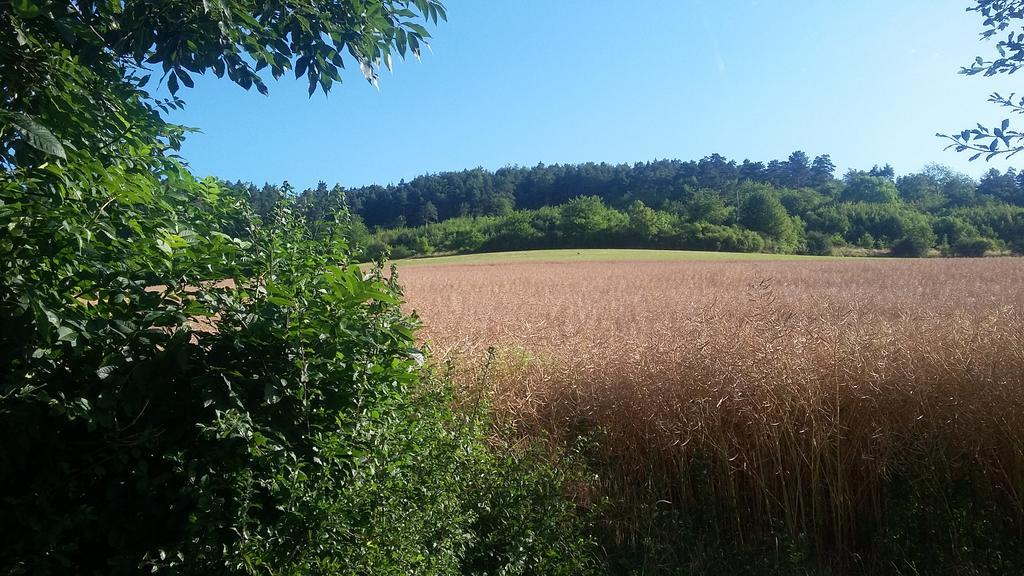 Landgasthof Zur Untermuehle Datterode Eksteriør bilde