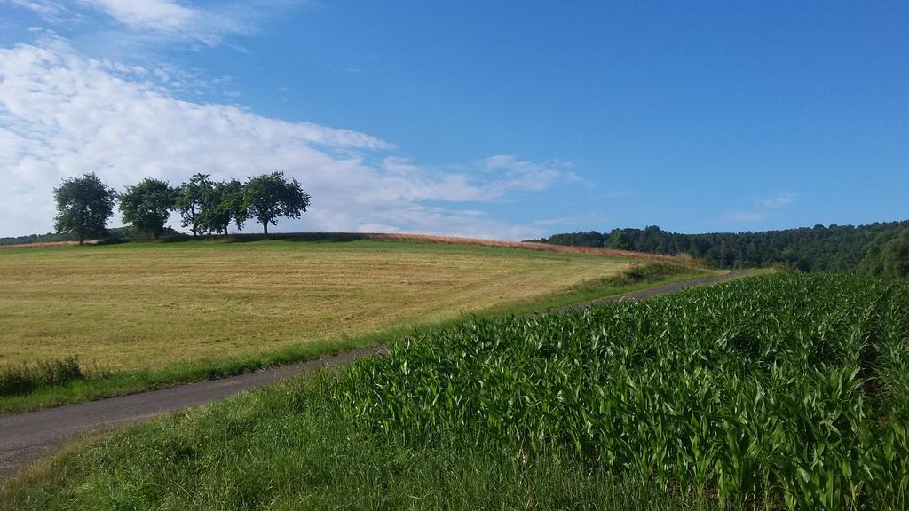 Landgasthof Zur Untermuehle Datterode Eksteriør bilde
