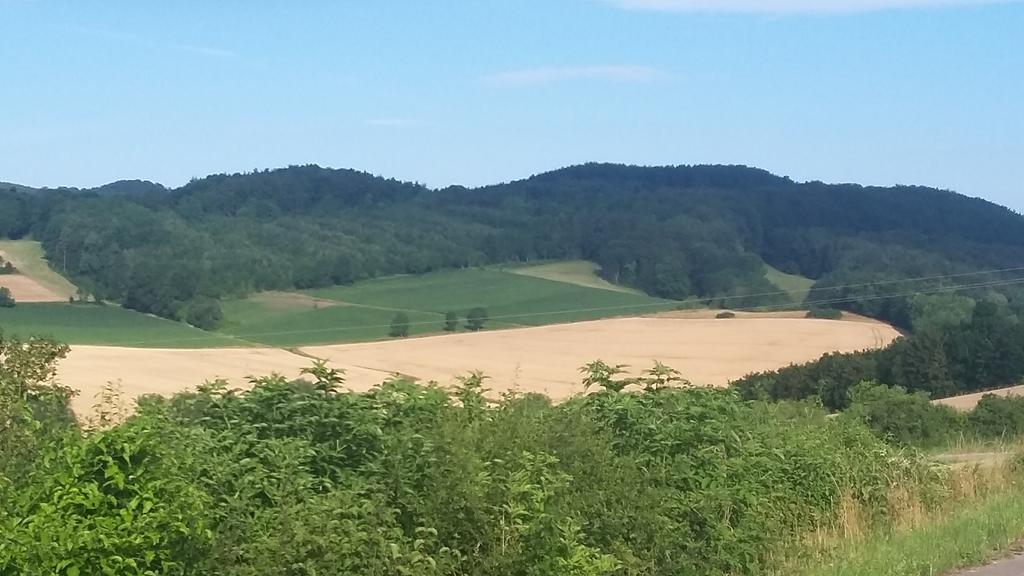 Landgasthof Zur Untermuehle Datterode Eksteriør bilde