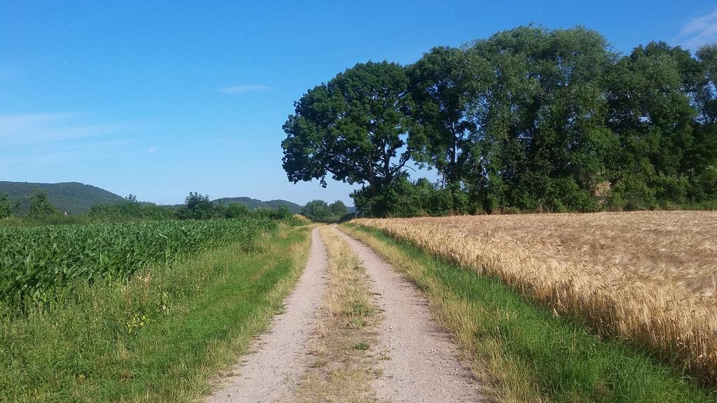 Landgasthof Zur Untermuehle Datterode Eksteriør bilde